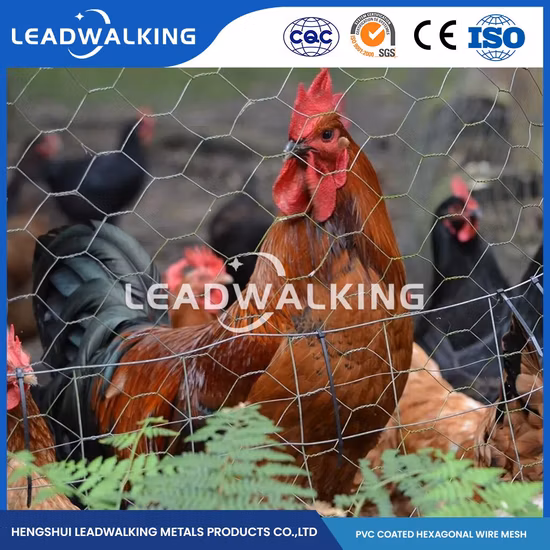 Leadwalking Galvanized Steel Wire Material Field Fence Wholesale Cattle Fence Nets Wholesaler China 30m/Roll Fence Length Horse Netting
