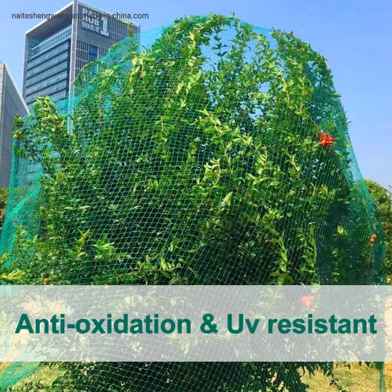 Садовая сетка с квадратной сеткой 2,4 дюйма защищает фруктовые деревья и овощи от птиц, оленей и вредителей. Прочная сетка для птиц.